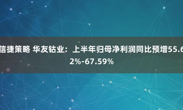 信捷策略 华友钴业：上半年归母净利润同比预增55.62%-67.59%