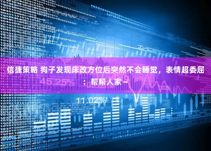 信捷策略 狗子发现床改方位后突然不会睡觉，表情超委屈：帮帮人家～
