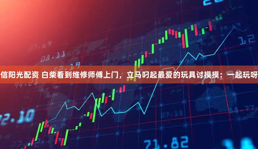 信阳光配资 白柴看到维修师傅上门，立马叼起最爱的玩具讨摸摸：一起玩呀