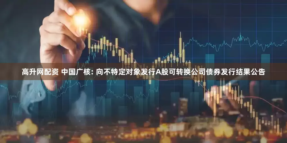 高升网配资 中国广核: 向不特定对象发行A股可转换公司债券发行结果公告