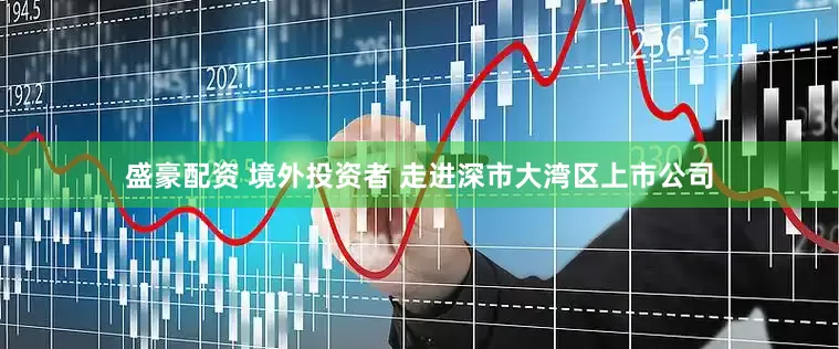 盛豪配资 境外投资者 走进深市大湾区上市公司