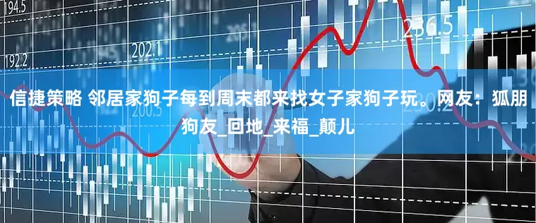 信捷策略 邻居家狗子每到周末都来找女子家狗子玩。网友：狐朋狗友_回地_来福_颠儿