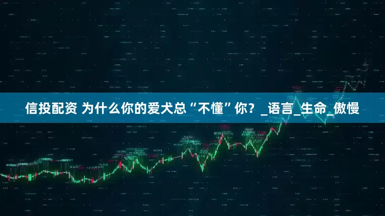 信投配资 为什么你的爱犬总“不懂”你？_语言_生命_傲慢